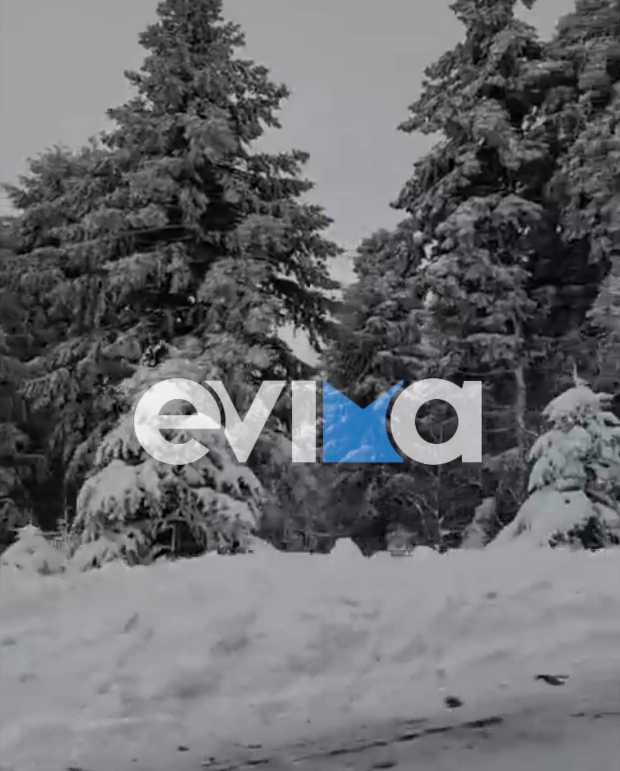 Κακοκαιρία «Φίλιππος»: «Θάφτηκαν» στο χιόνι χωριά της Εύβοιας (pics)