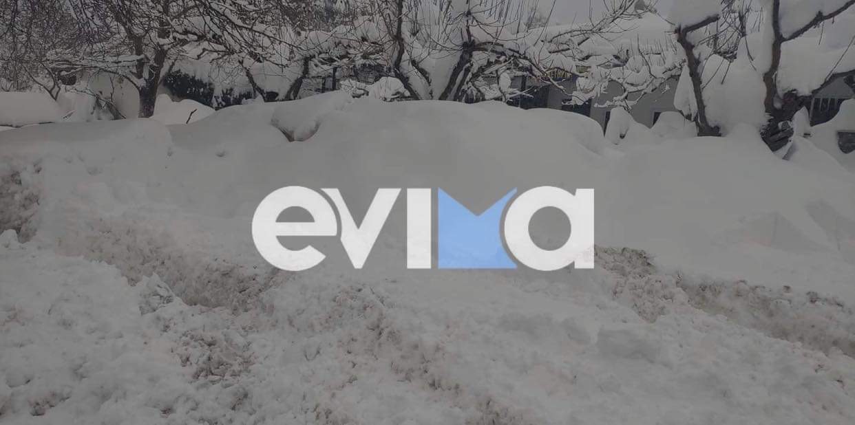 Κακοκαιρία «Φίλιππος»: Προσοχή! Πτώσεις δέντρων από χιονοθύελλα – Έκλεισε ο δρόμος προς τη Βόρεια Εύβοια