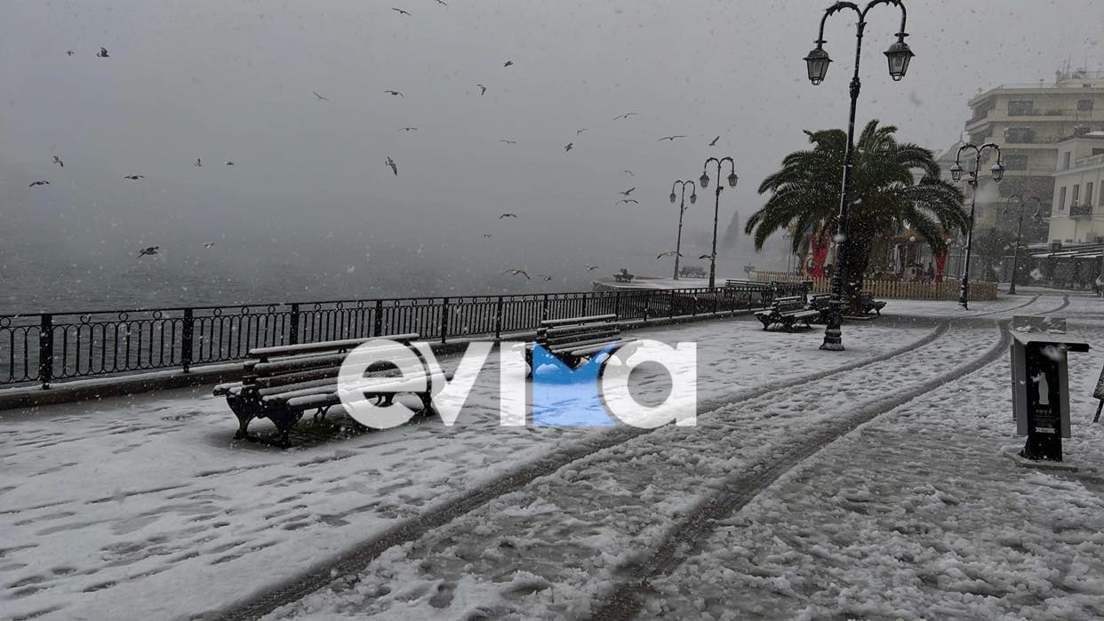 Καιρος: «Ελπίδα» Νο 2 φέρνει πολικό ψύχος και πολλά χιόνια στην Εύβοια (vid)