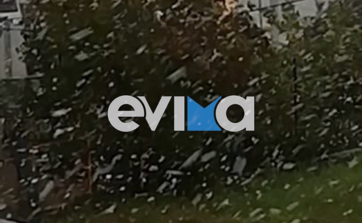 Κακοκαιρία «Φίλιππος» – Εύβοια: ΤΩΡΑ Πυκνή χιονόπτωση στο Δοκό Χαλκίδας (vid)