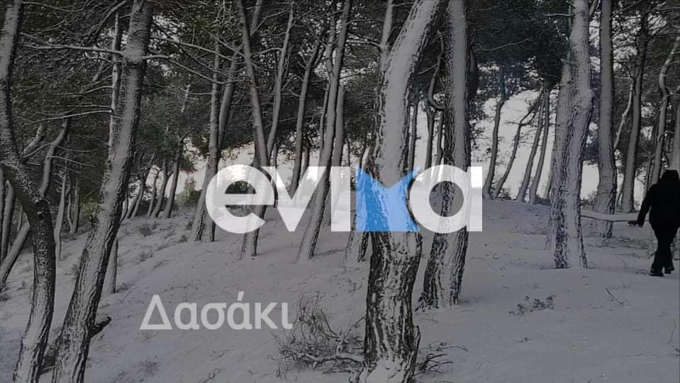 Κακοκαιρία Εύβοια: Παραδόθηκαν στο «Φίλιππο» τα χωριά της Δημοτικής Ενότητας Κύμης (pics)