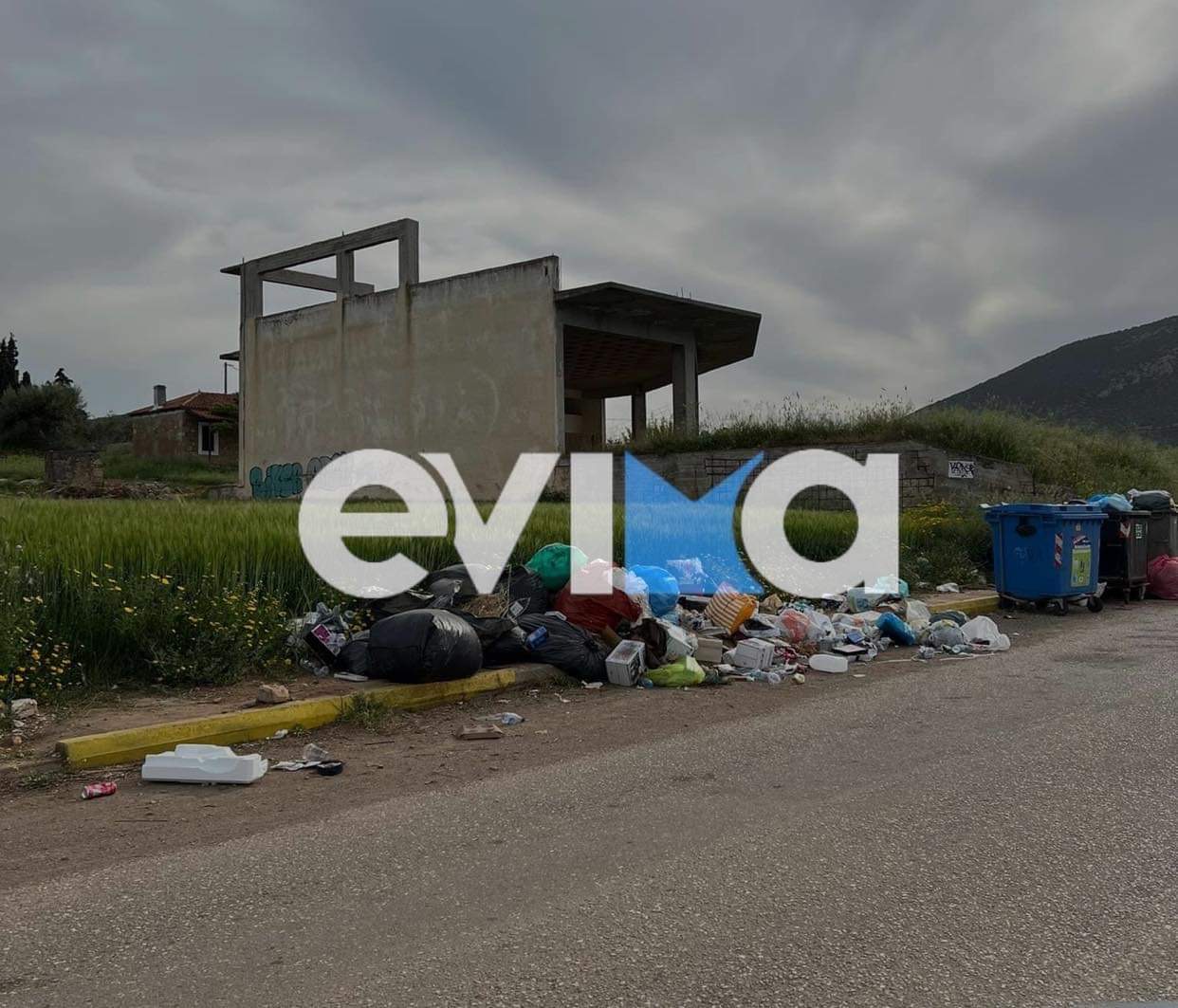 Εύβοια: «Τραγική» η εικόνα με τα σκουπίδια στην Κοινότητα Ανθηδόνας – Τι λέει ο πρόεδρος
