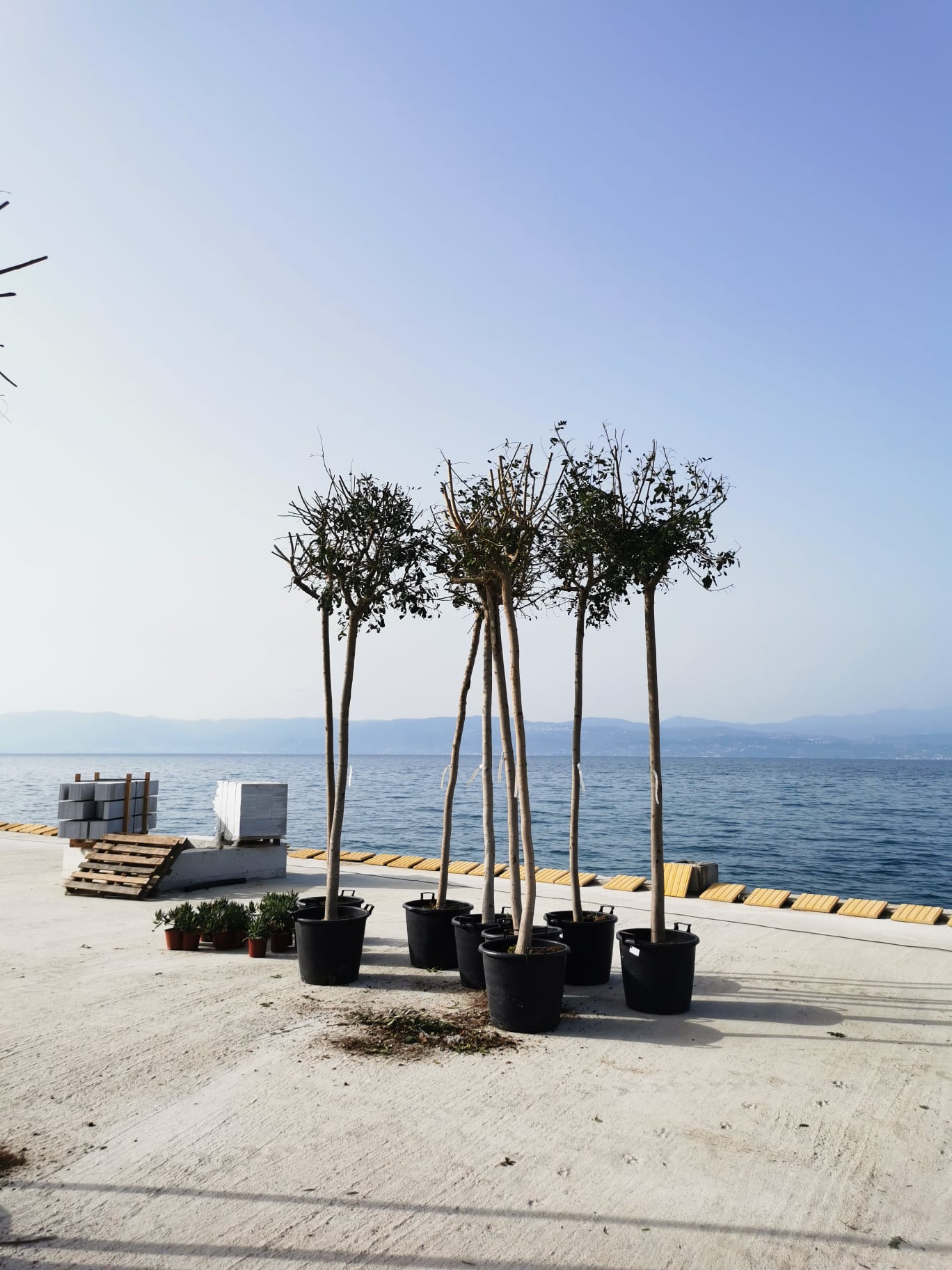 Δήμος Ερέτριας: Ομόρφυνε η παραλία Αμαρύνθου (pics)