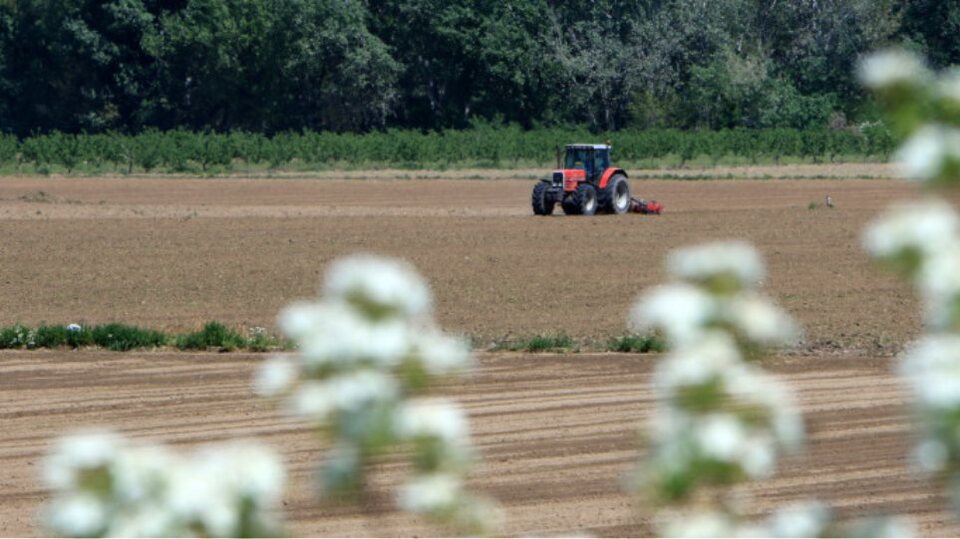 ΕΛΓΑ: Έρχονται πληρωμές την Μεγάλη Τρίτη – Ποιοι κάνε ταμείο