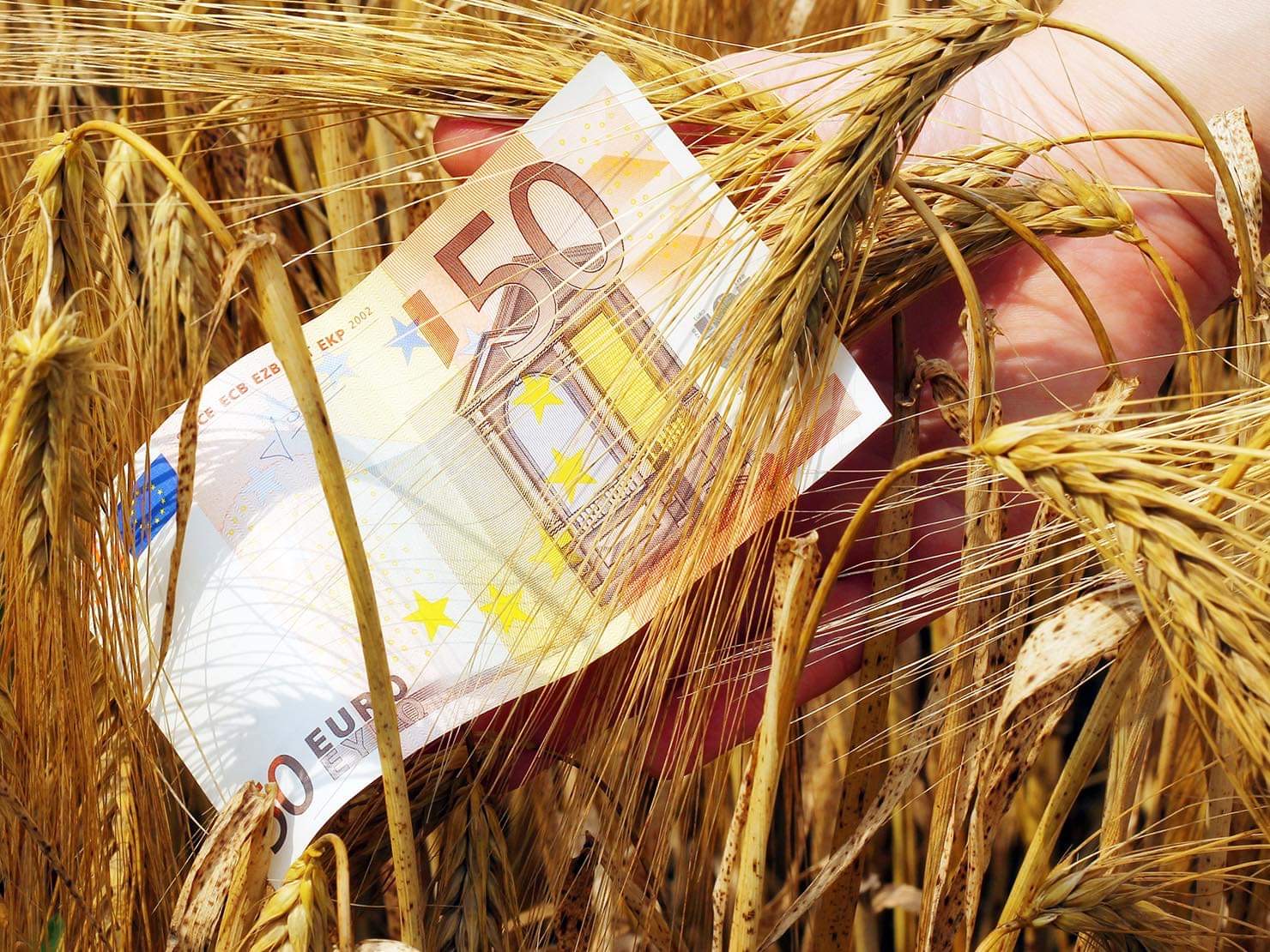 Αγροτικές επιδοτήσεις: Μεγάλη πληρωμή 104 εκατ. ευρώ σε συνδεδεμένες ενισχύσεις – Οι δικαιούχοι