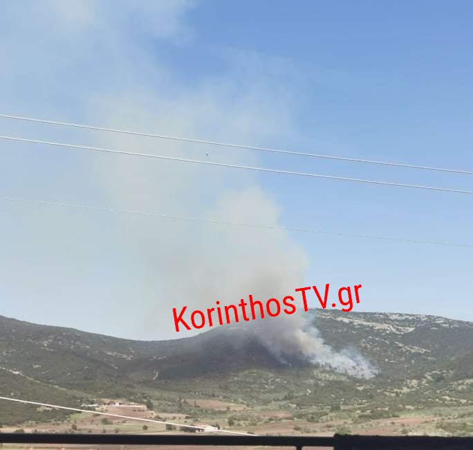 Νεμέα: Φωτιά σε δασική έκταση στο Λεόντιο