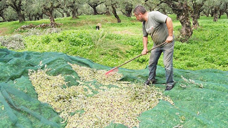 Αγροτικές επιδοτήσεις: Αυτή είναι η νέα ηλεκτρονική διαδικασία -Πως θα λάβετε τα χρήματα