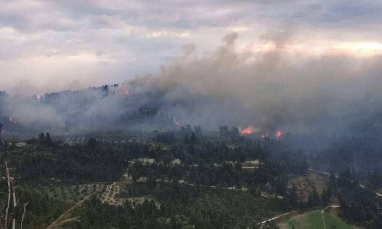 Φωτιά στη Χαλκιδική, καίει δασική έκταση, επιχειρούν και πυροσβεστικά αεροσκάφη
