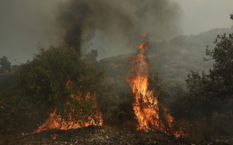 Meteo: Κάηκαν πάνω από 1.200.000 στρέμματα έως τις 23 Αυγούστου στην Ελλάδα