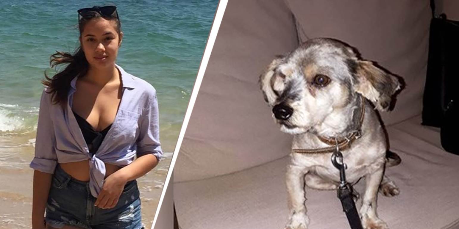 Δίκη Γλυκά Νερά: Το πρόσωπο της Καρολάιν ήταν πρησμένο – Βασανίστηκε και αυτή και ο σκύλος