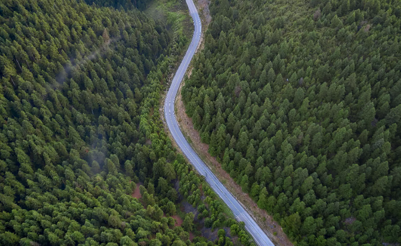 Βόρεια Εύβοια: Η αναγέννηση του Νέου Δάσους θα αλλάξει ριζικά το «πληγωμένο» νησί