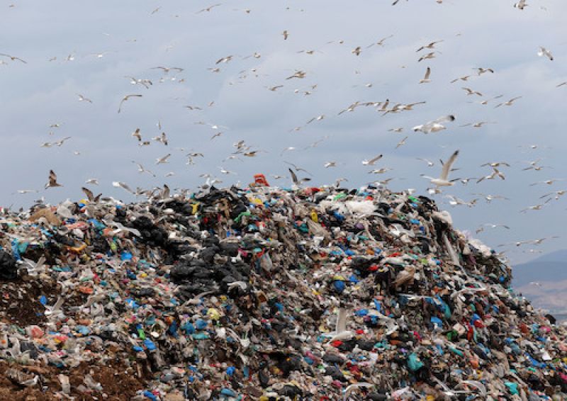 Φο.Δ.Σ.Α.: Κρεμάει ξανά στα «μανταλάκια» τη δήμαρχο Χαλκιδέων για τα σκουπίδια