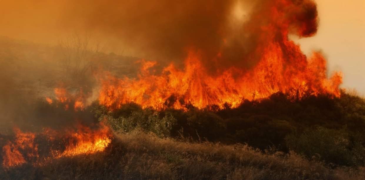 Χαλκίδα: Πρόστιμο σε άνδρα για πυρκαγιά σε καλλιέργειες