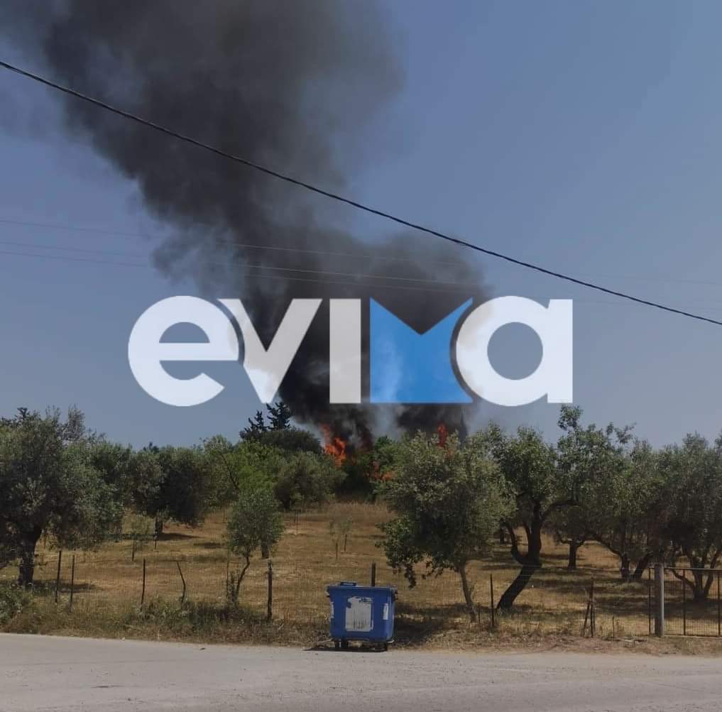 Αμάρυνθος: Υπό έλεγχο η φωτιά από την Πυροσβεστική και τους εθελοντές της «Αμαρύνθια Άρτεμις»