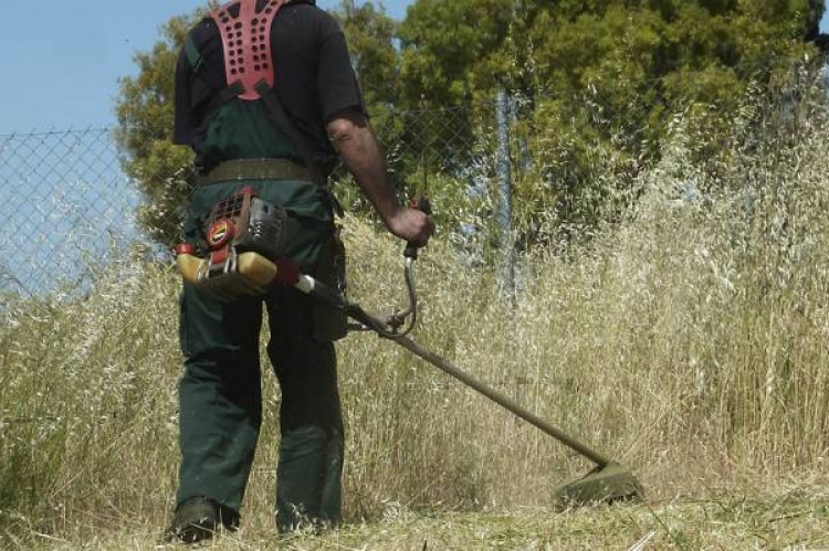 Άμεσα καθαρισμό των οικοπέδων ζητάει ο Δήμος Κύμης-Αλιβερίου