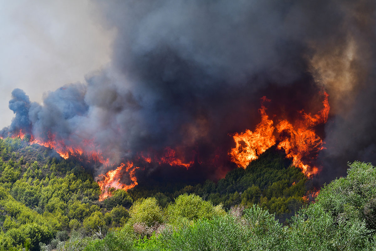 Ξεκινά η έκδοση Ημερήσιου Χάρτη Πρόβλεψης Κινδύνου Πυρκαγιάς από την Πολιτική Προστασία