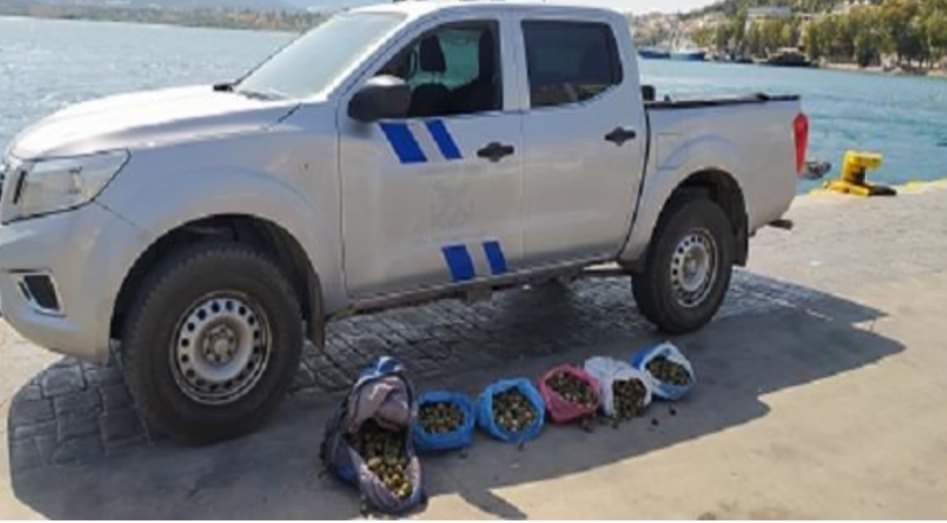 Εύβοια: Τους έπιασαν να ψαρεύουν παράνομα όστρακα