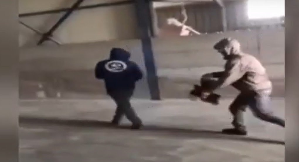 Εύβοια: Αναζητούνται οι δράστες της κακοποίησης του πτηνού – Ταυτοποιήθηκαν τρία άτομα (vid)