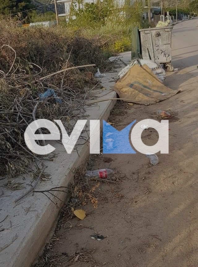 Χαλκίδα: «Πνίγονται» από τα σκουπίδια οι δημότες – Ρίχνουν «βολές» στη δημοτική Αρχή