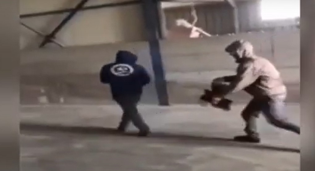 Εύβοια: Νέα κακοποίηση ζώου μέσα σε λίγες ώρες – Συγκλονιστικό βίντεο