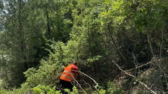 Καθαρισμός δασών και παρόδιας βλάστησης στην Εύβοια στο πλαίσιο προγράμματος πυροπροστασίας