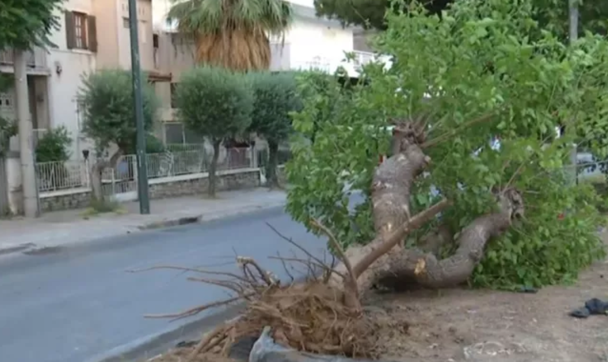 Τραγωδία στην άσφαλτο: Όχημα καρφώθηκε σε δέντρο – Νεκρός ο 18χρονος οδηγός