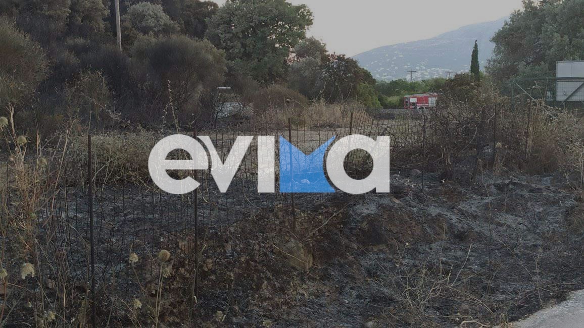 Εύβοια: Εικόνες καταστροφής στο Μεσονήσι μετά την φωτιά στον δήμο Κύμης- Αλιβερίου