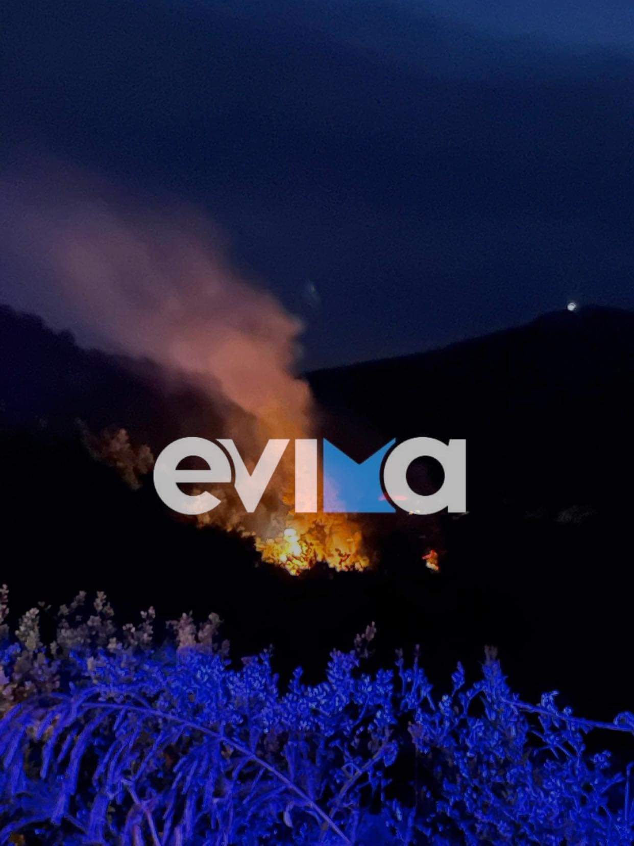 Εύβοια: Φωτιά σε περιοχή της Κύμης από κεραυνό (pics)