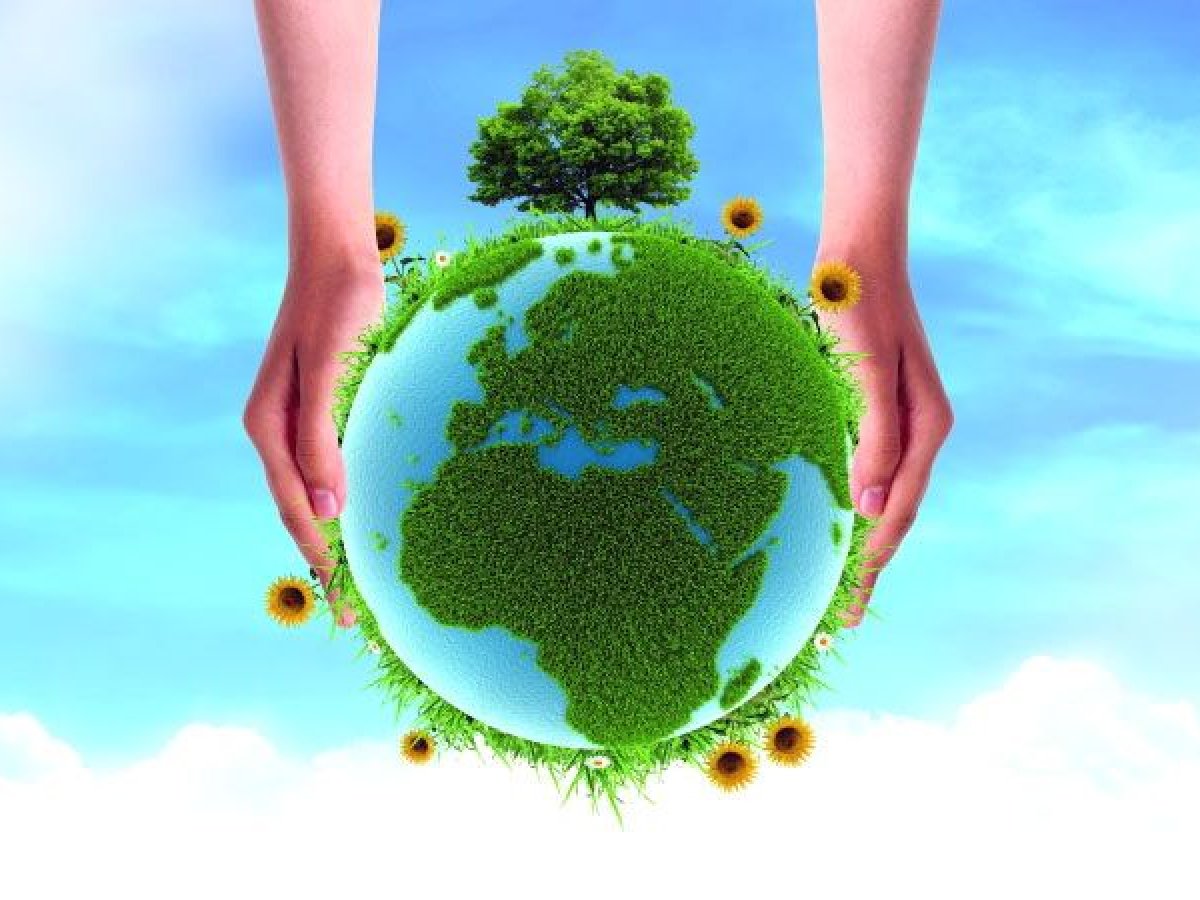Εύβοια: Δράση για την Παγκόσμια Ημέρα του Περιβάλλοντος στο Αλιβέρι