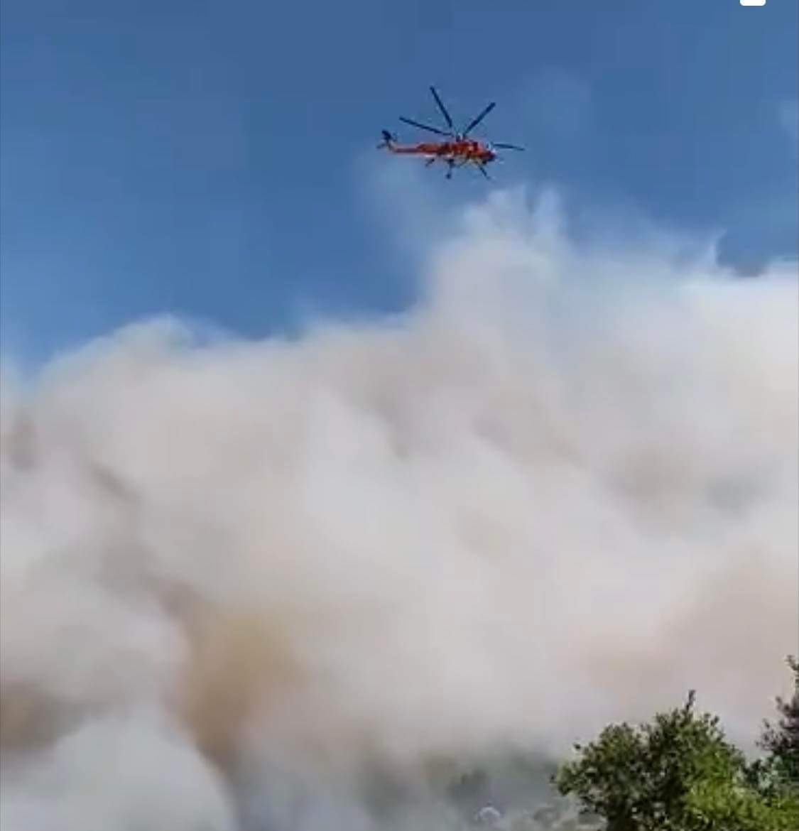 Φωτιά στη Φωκίδα: Επίγειες και εναέριες δυνάμεις στη Βουνιχώρα