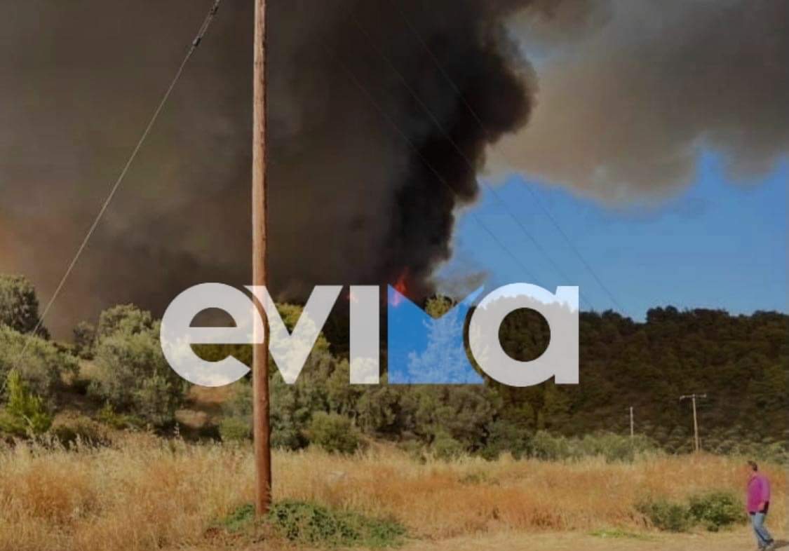 Φωτιά στον Κρεμαστό Ευβοίας: «H φωτιά έφτασε στην είσοδο του χωριού», δήλωσε ο αντιδήμαρχος