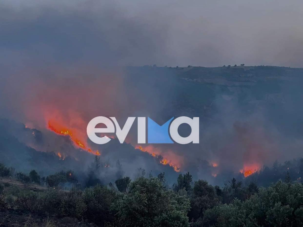 Υψηλός κίνδυνος εκδήλωσης πυρκαγιάς σε Κεντρική και Νότια Εύβοια σήμερα (Xάρτης)