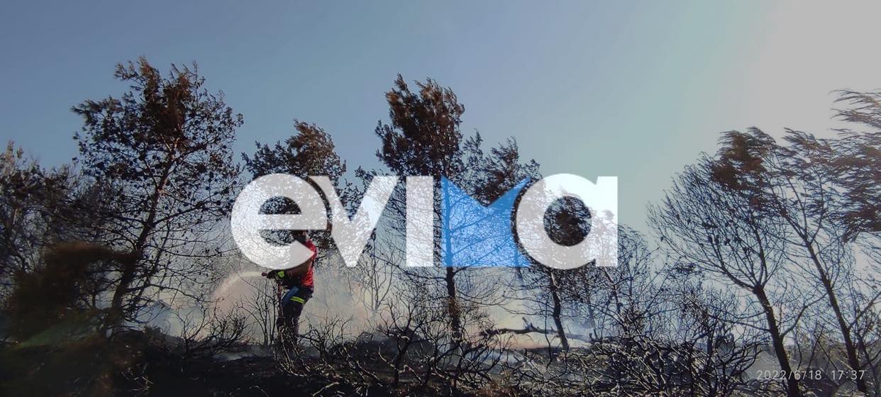 Eύβοια: Τον «πύρινο εφιάλτη» του 2007 θύμισε η φωτιά στον Κρεμαστό