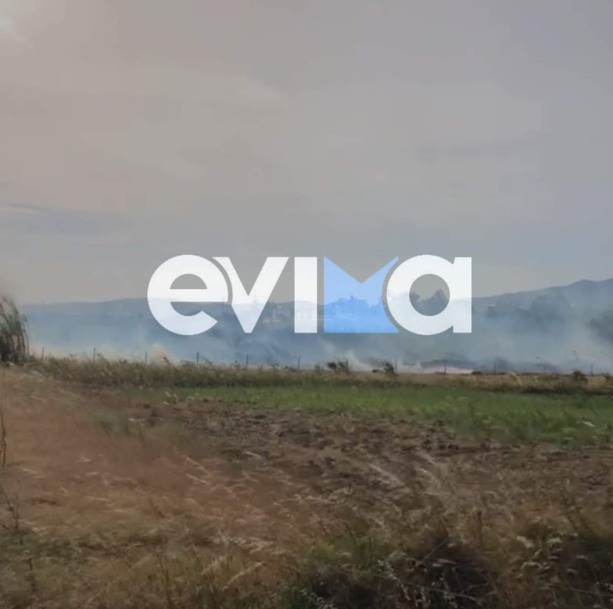 Εύβοια: Φωτιά στον Αετό Καρύστου (pics)