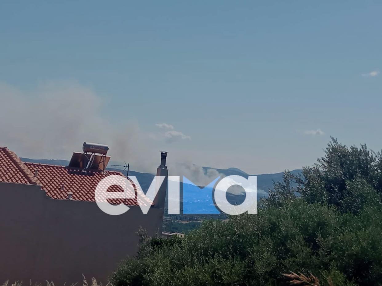 Φωτιά στην Εύβοια: Εκκενώθηκε το χωριό Κρεμαστός – Μήνυμα του 112 στους κατοίκους (vid)