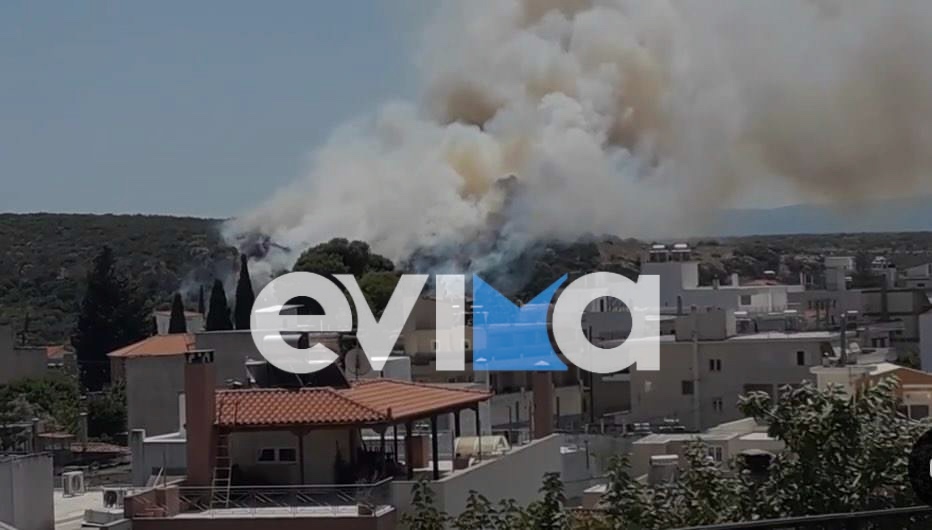 Φωτιά τώρα στην Εύβοια: H πυρκαγιά κατευθύνεται προς τον Κάμπο Αλιβερίου (pics)