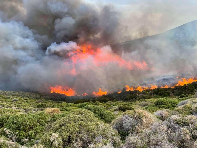 Συναγερμός για φωτιά στη Φθιώτιδα – Σηκώθηκαν εναέρια μέσα