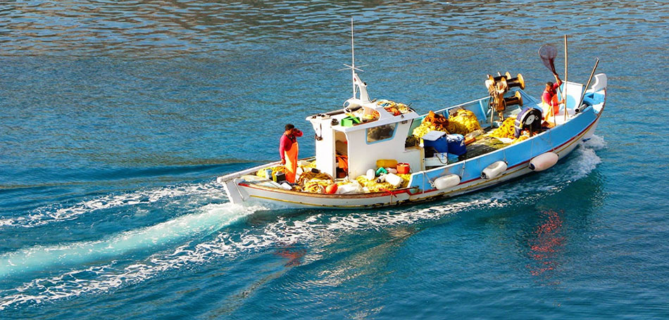 Κεδίκογλου: «Ο αλιευτικός τουρισμός μπορεί να εξελιχθεί σε έναν δυναμικό οικονομικό παράγοντα»