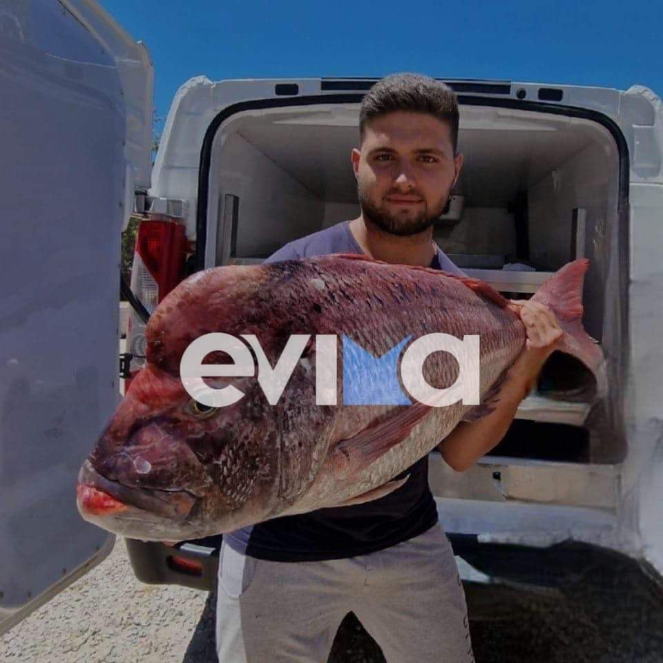 «Έπιασε την καλή»: Απίστευτη ψαριά με τεράστιο κορωνάτο φαγκρί στη Νότια Εύβοια