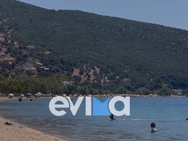 «Βουλιάζουν» από κόσμο οι παραλίες της Εύβοιας (pics)