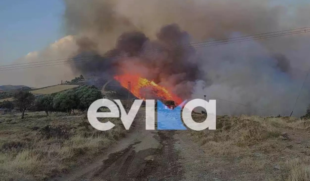 Φωτιά τώρα στην Κάρυστο – «Πνέουν πολύ ισχυροί άνεμοι» λέει ο δήμαρχος στο evima.gr