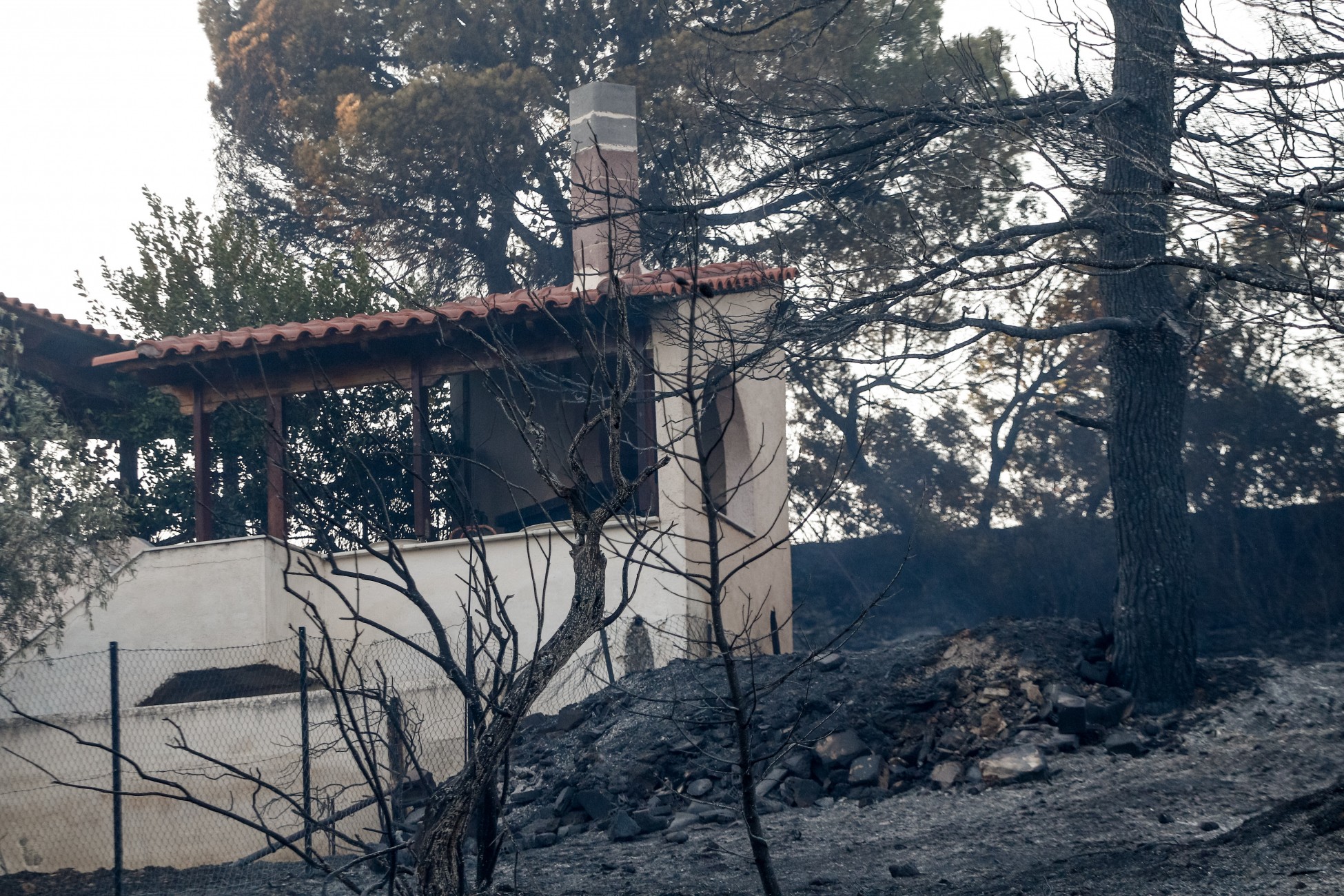 Ανατολική Αττική: 126 καμένες κατοικίες από την μεγάλη πυρκαγιά
