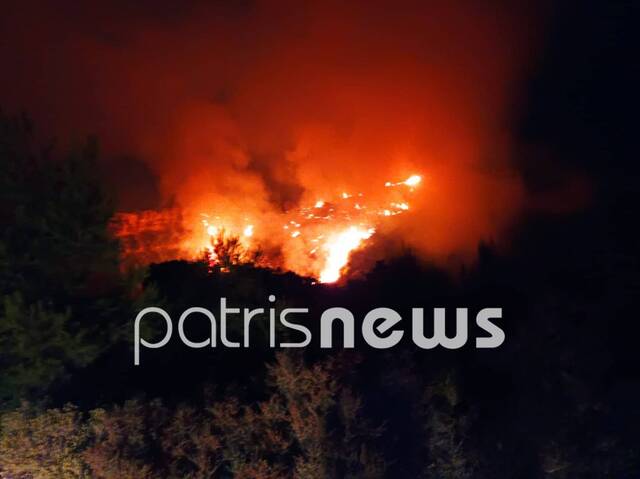 Φωτιά τώρα στον Πύργο – Καίει δασική έκταση