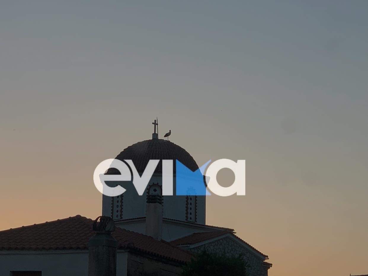 Εύβοια: Οι πελαργοί στον τρούλο και το καμπαναριό της εκκλησίας των Κριεζών που μαγεύουν τους επισκέπτες (pics)