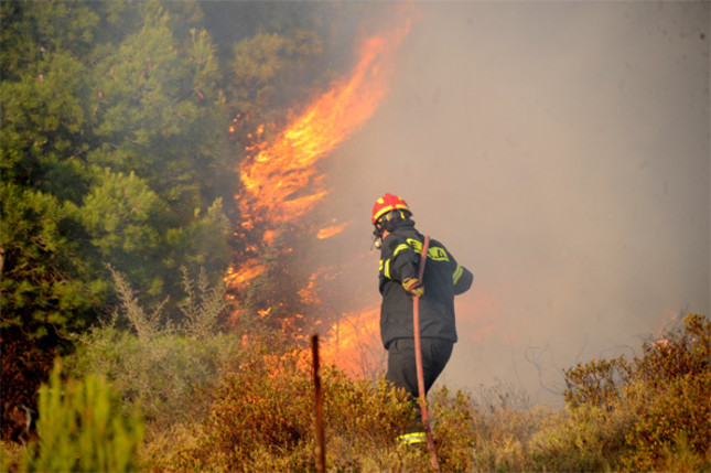 Φωτιά στο Πόρτο Γερμενό: Καίγεται παρθένο πευκοδάσος