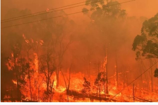 Πολύ υψηλός κίνδυνος για φωτιά και σήμερα στην Εύβοια- Σε κατηγορία κινδύνου 4 το νησί