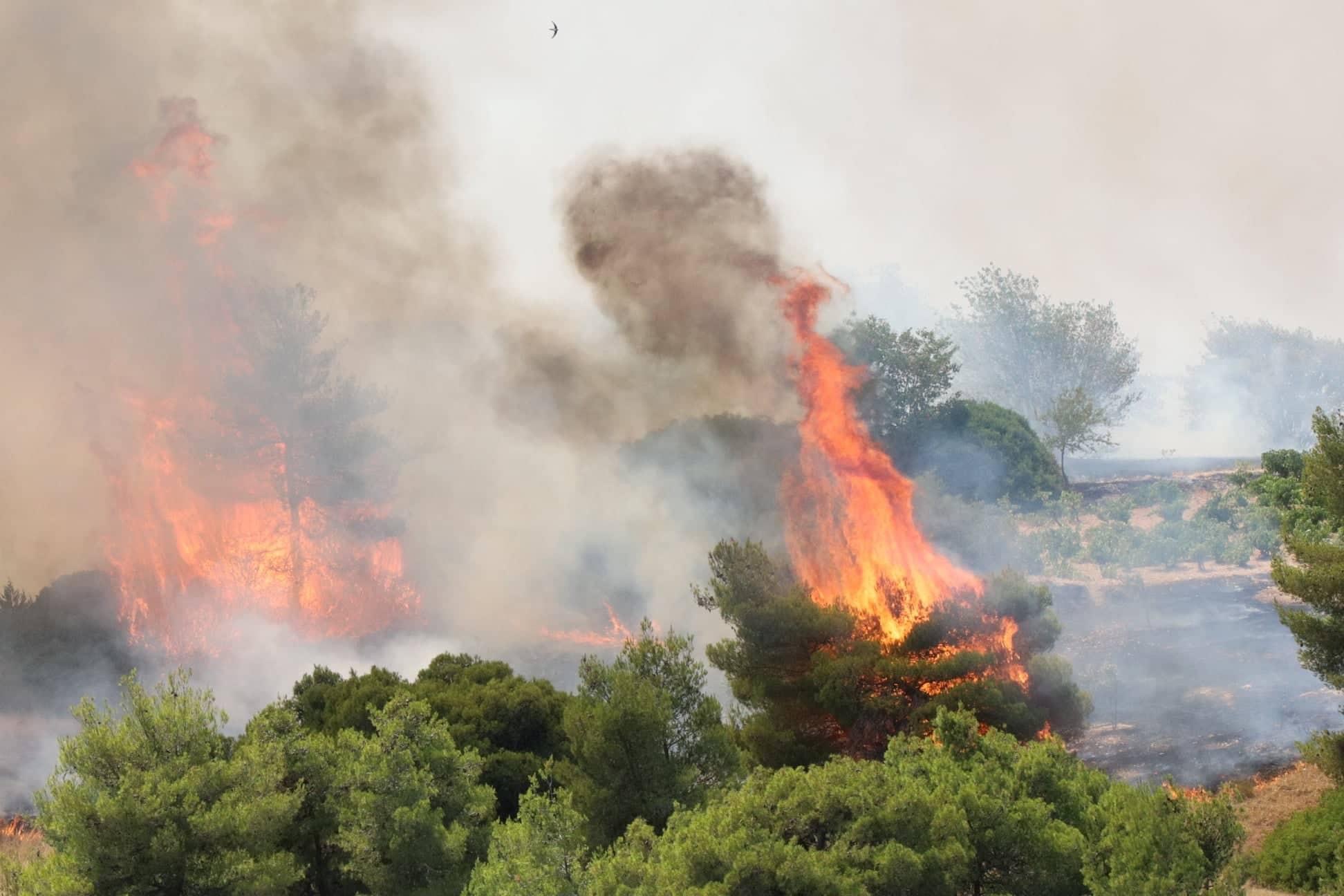 Φωτιά στα Μέγαρα: Μεγάλη κινητοποίηση της πυροσβεστικής – Πού έχει διακοπεί η κυκλοφορία