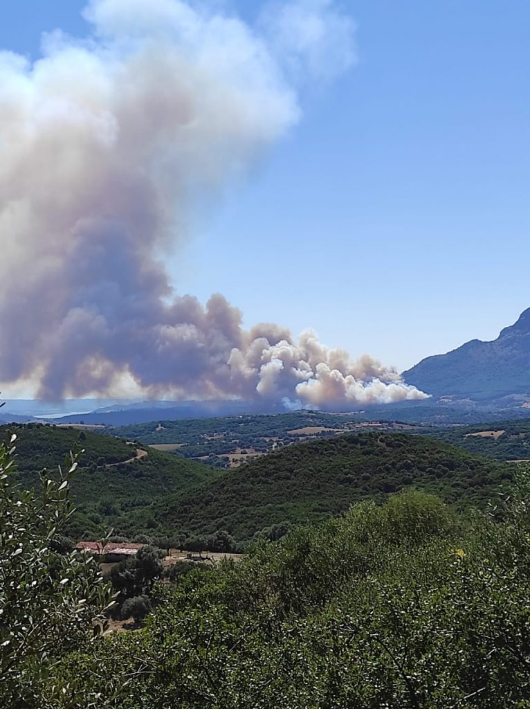 Φωτιά στις Πόρτες Αχαΐας: Μεγάλη κινητοποίηση της πυροσβεστικής