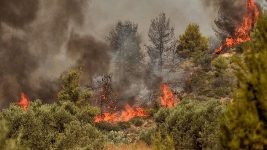 Χαλκίδα: «Καμπανάκι» για υψηλό κίνδυνο πυρκαγιάς την Τρίτη 5 Ιουλίου
