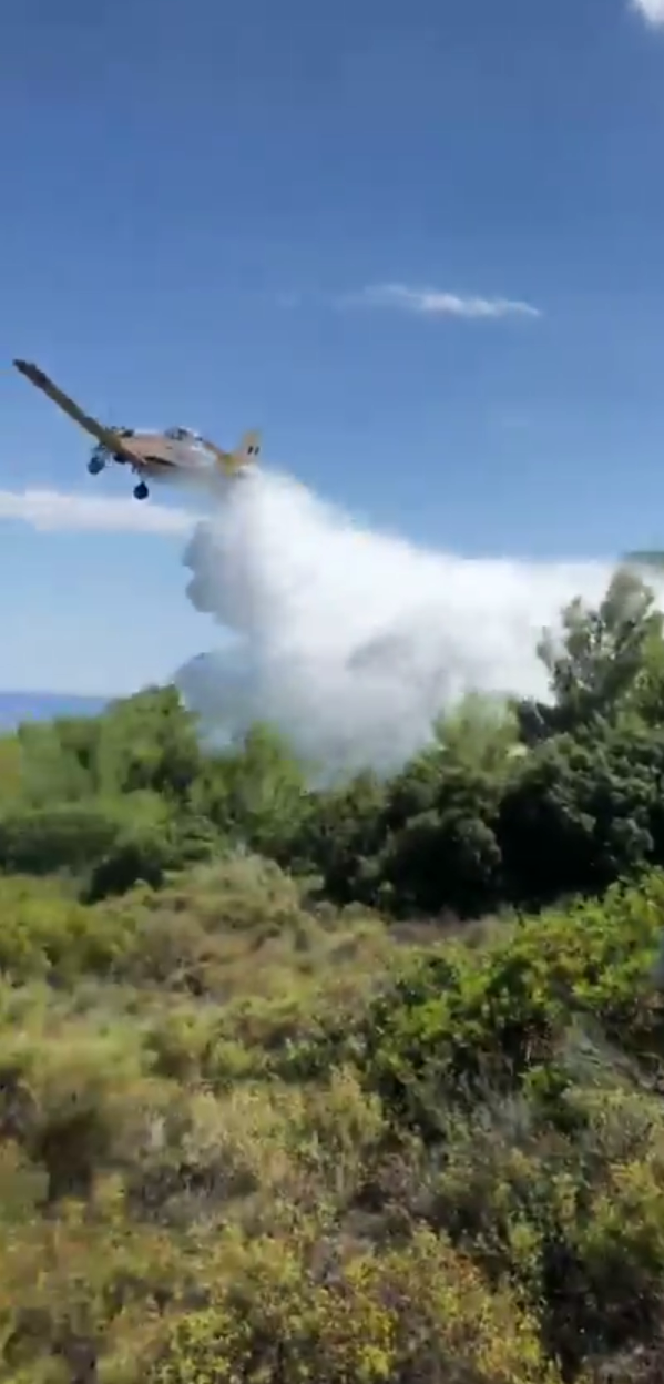 Φωτιά στην Αταλάντη